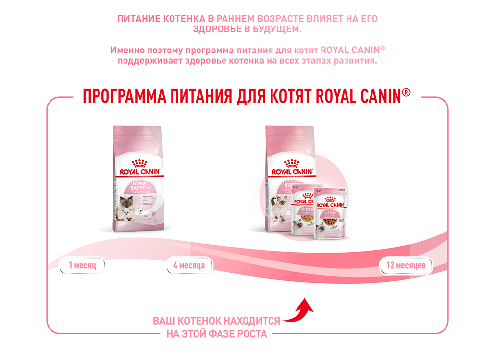 Royal Canin Kitten (паштет) купить | Garfield.by